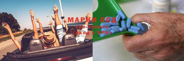 прущие грибы Абдулино