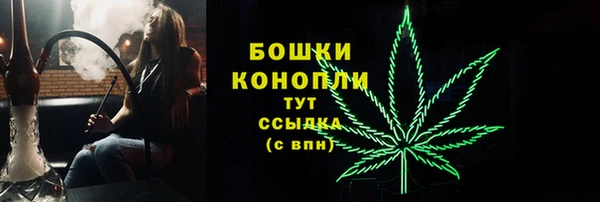 прущие грибы Абдулино
